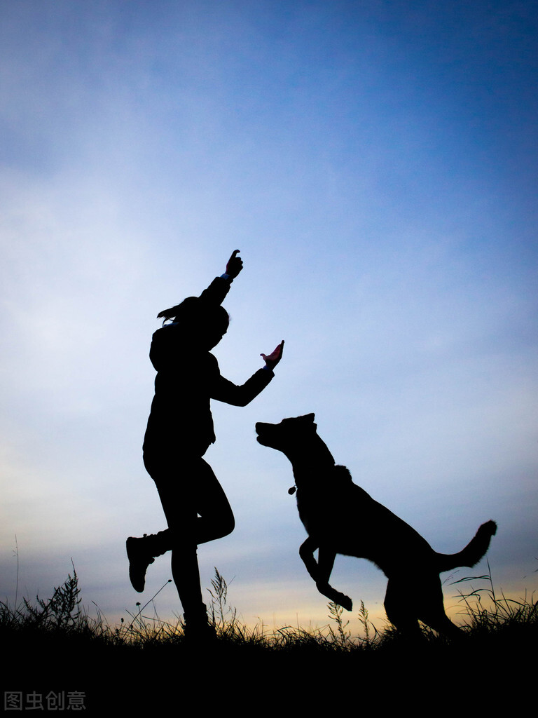 哪些食物狗是不能吃,知识科普狗狗不能吃哪些食物