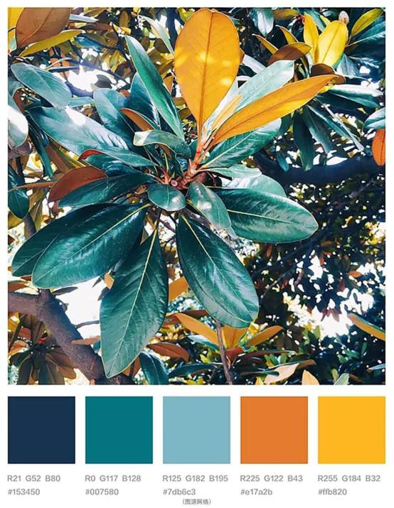 配色原理与色彩搭配实战宝典,色彩搭配入门配色基本类型