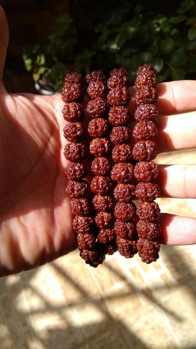 现在不玩金刚菩提了都玩什么,金刚菩提的基础知识