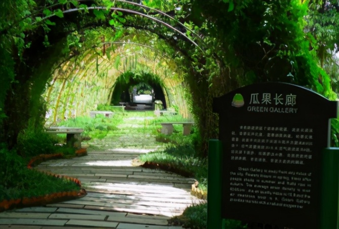 广东佛山一环自驾游攻略,粤港澳大湾区游