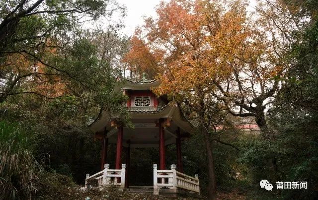 爱你没商量直播吗,爱你没商量海南