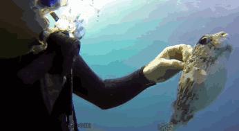 辽宁aaaa景区,辽宁首批5a景区