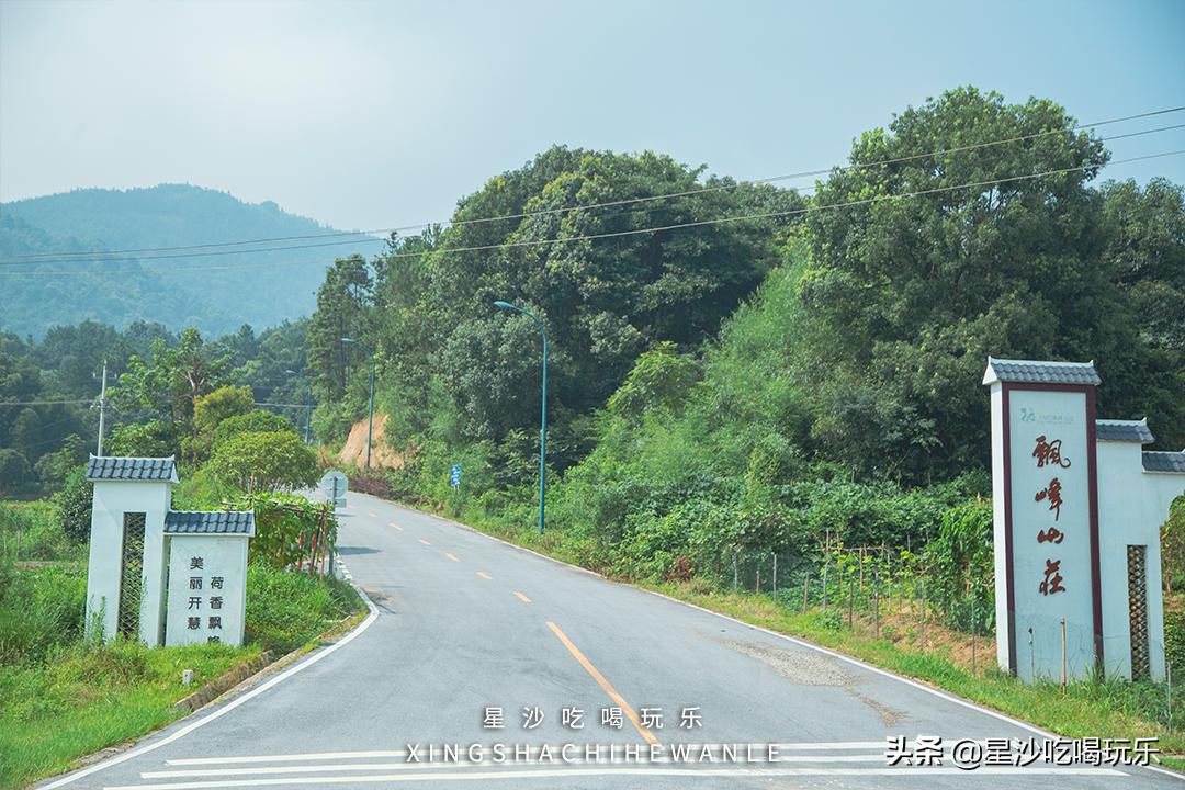 长沙小水果之乡,湖南长沙宝藏打卡地