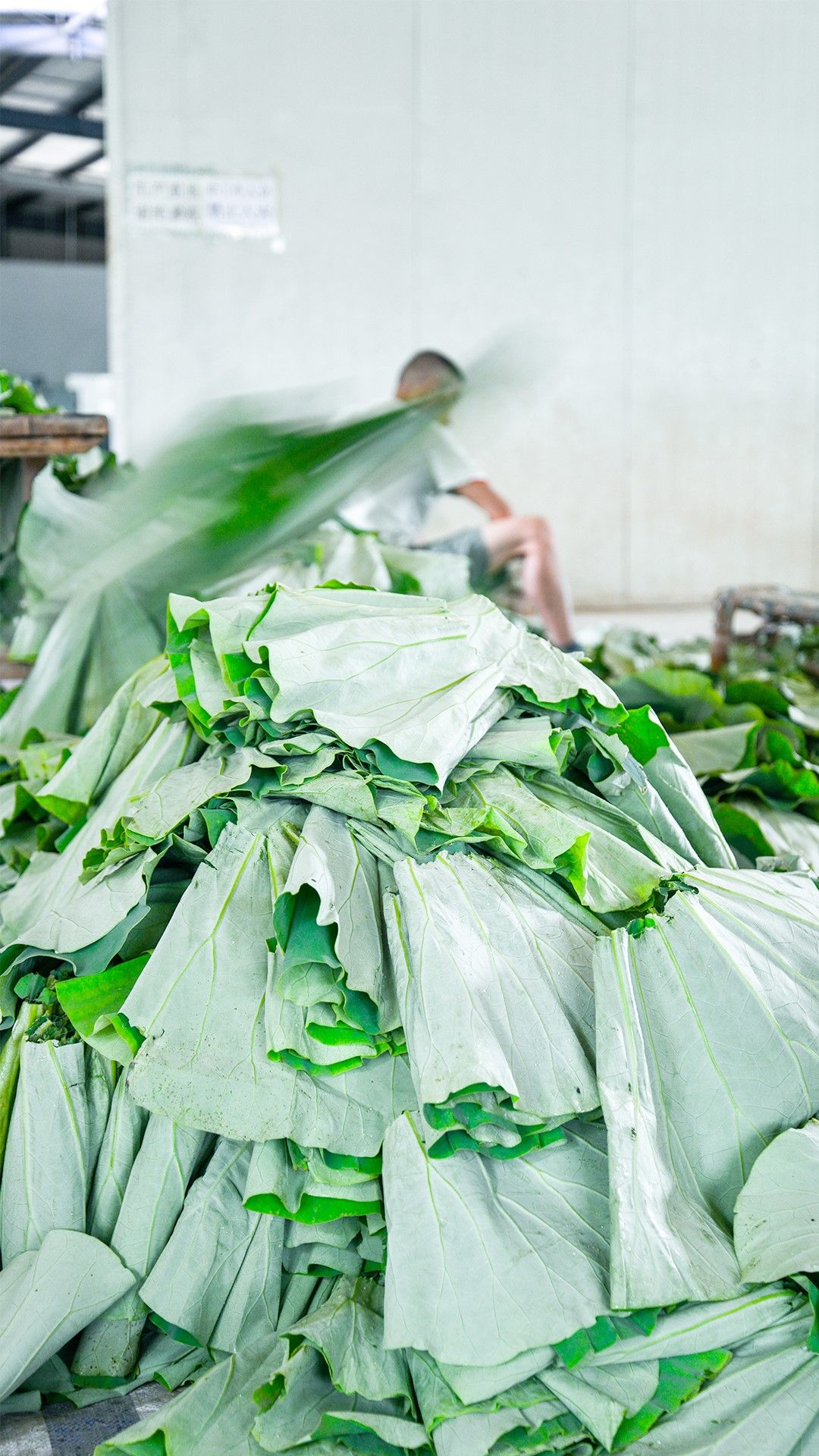 热干藕粉荷叶咖啡果汁蜂蜜新电商平台为湖北土货造创新场