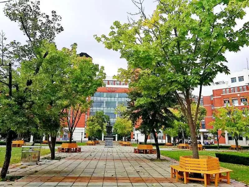 大连海事大学和辽宁省哪个级别高,大连海事大学辽宁省大学排名