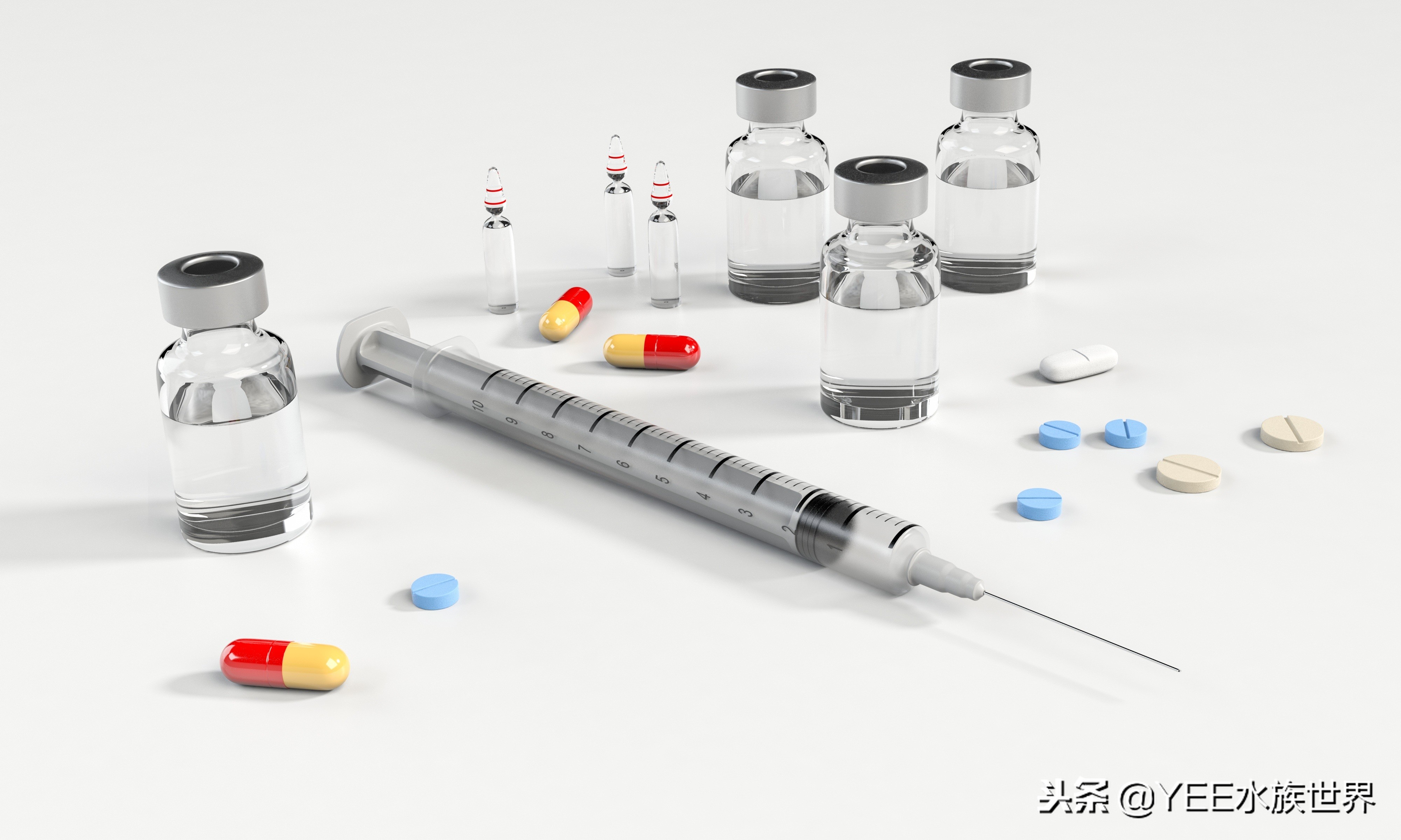 鱼忽然得肠炎，还好早学会了应对办法