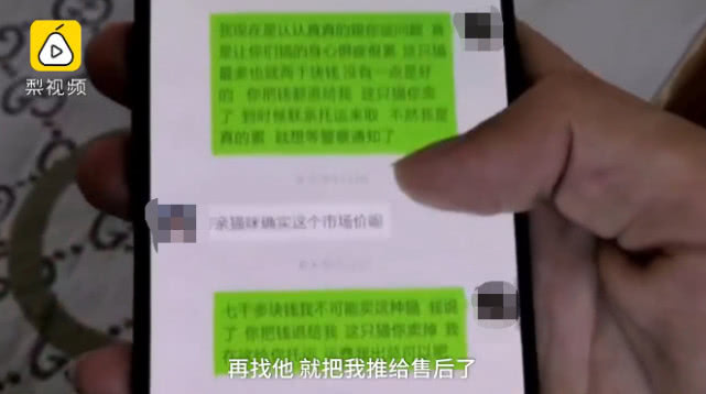 500块钱的布偶猫被骗,男子捡漏1000元买了布偶猫