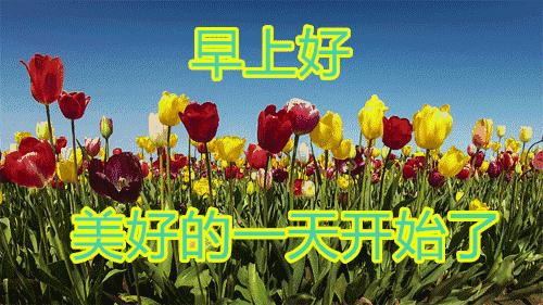 最新群友们早上好问候祝福语,微信群关于早上好的祝福语