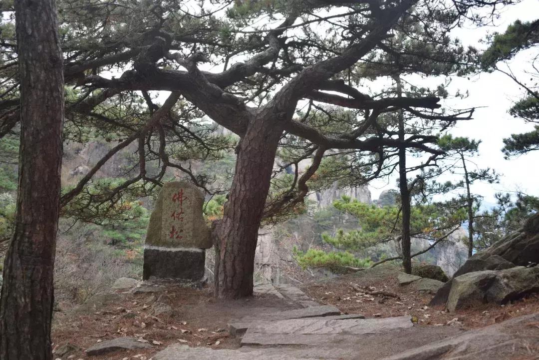 游九华山风景区,游九华山风景