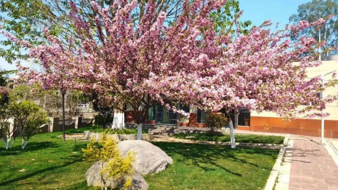 从a到z选择一个字母你会选择哪个,从a到z的成长