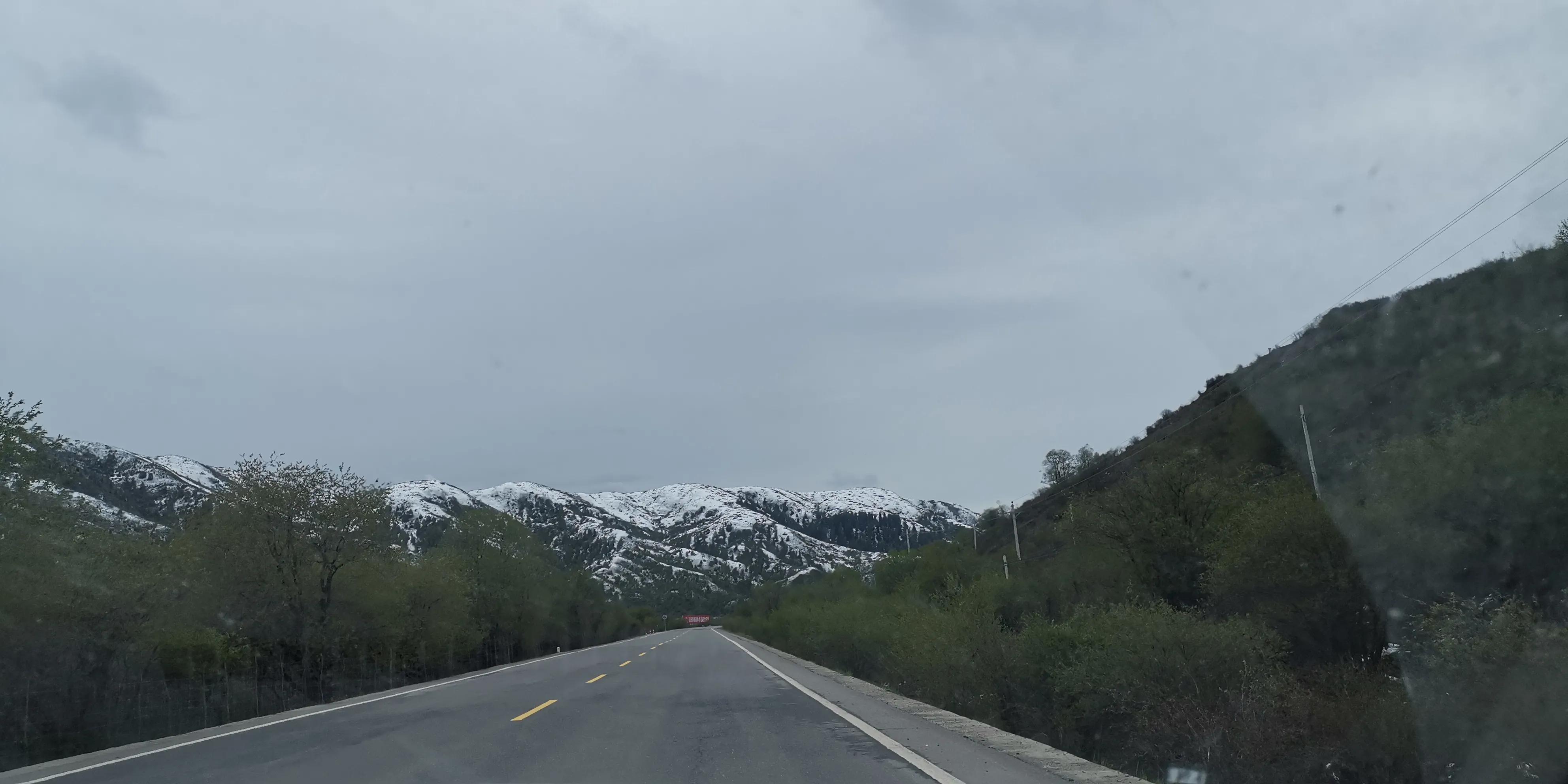 六月的红原，绿成为草原上最美的颜色