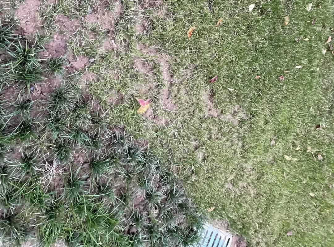 美好时光小区曲江房屋质量,曲江美好时光107平