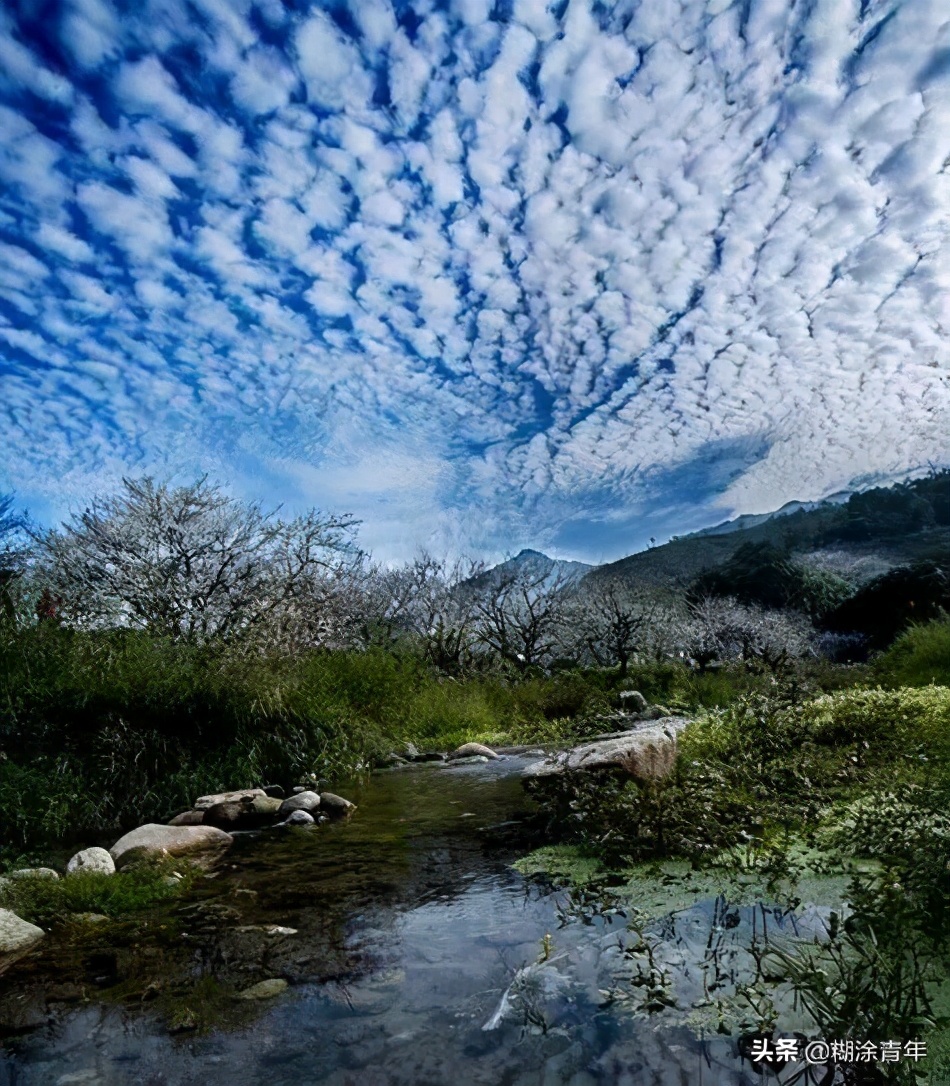 历史上汕尾属不属于潮汕,汕尾隐秘的角落