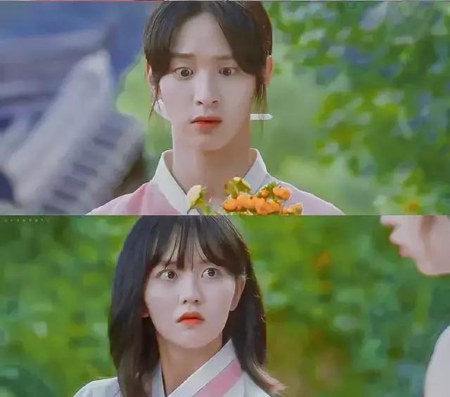 盘点韩剧男扮女装,韩剧男扮女装宫廷男主很帅