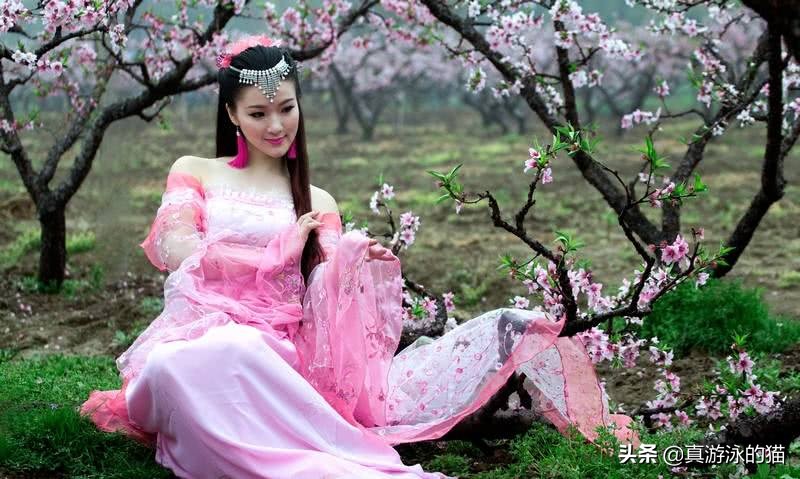 网络小说迷津津乐道的7句口头禅，知道4句的，博览群书没错了