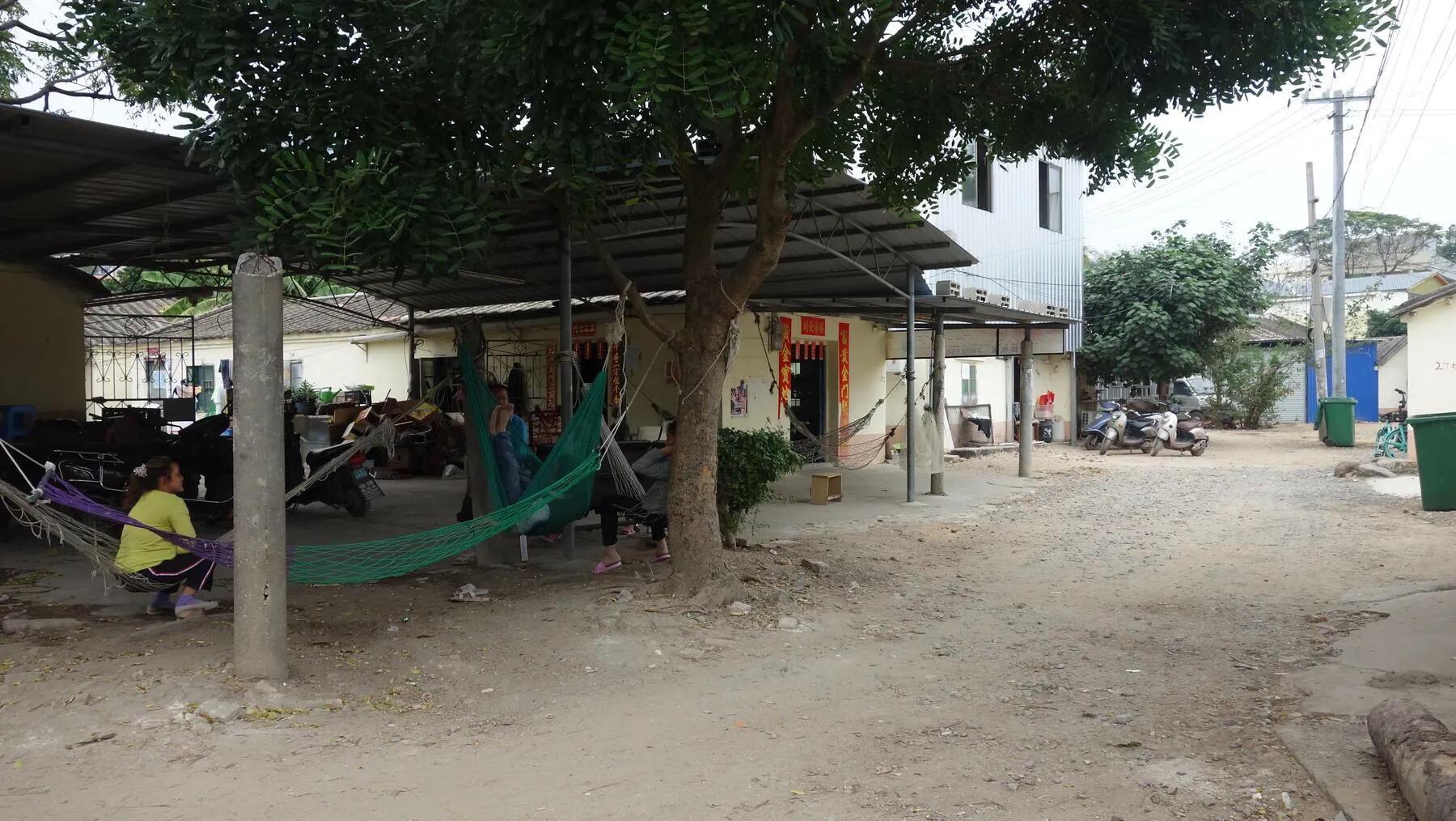 侨港边上的大、小老虎村，房租很低但住的人却很少，如今面临改造