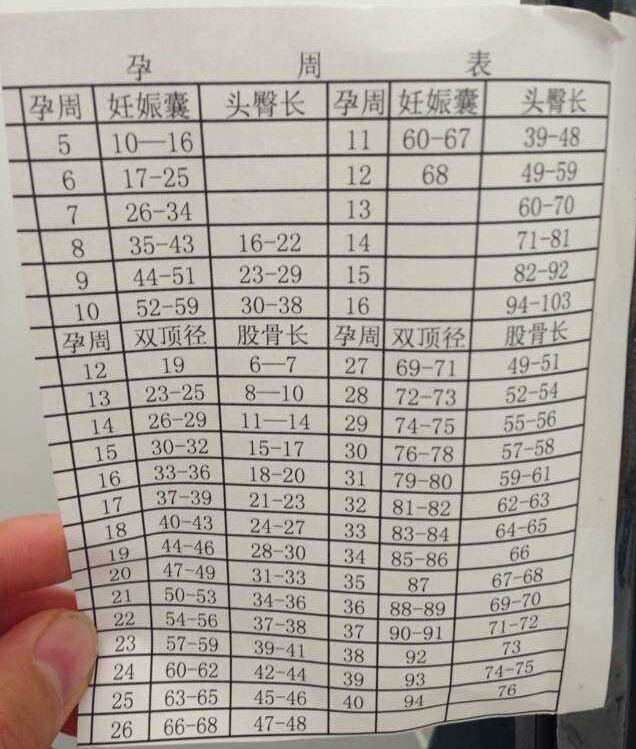 怀孕怎样看b超单子宫厚薄度,孕12周胎儿大小77*49mm正常吗