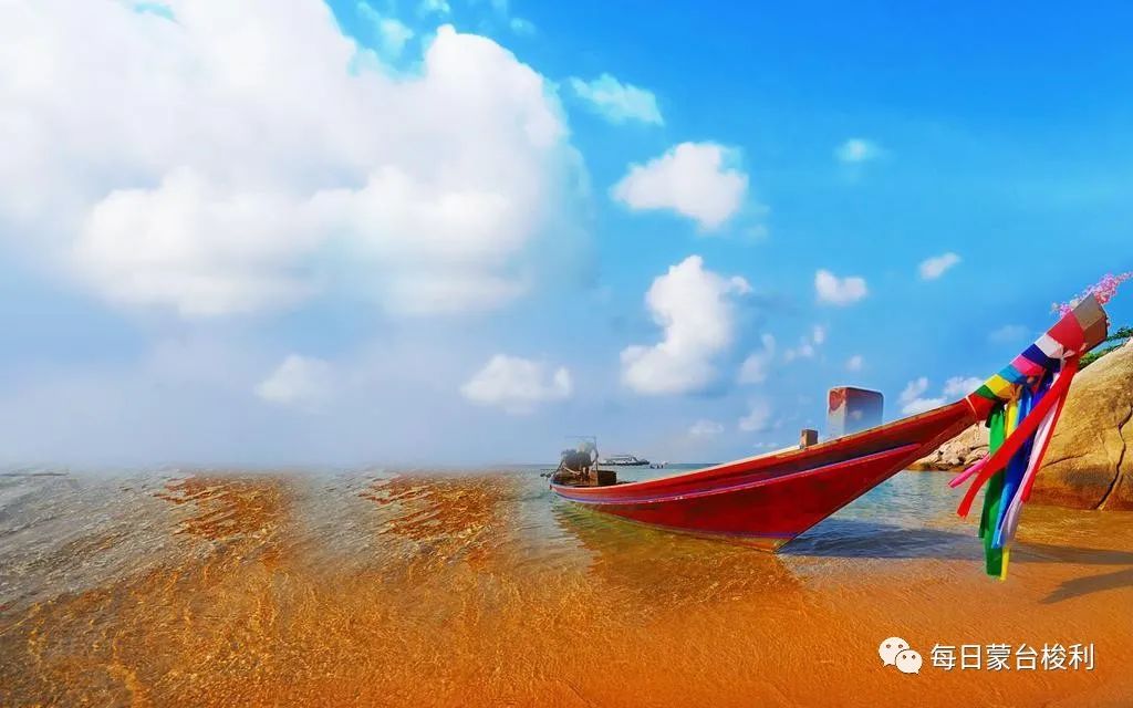 娃儿叛逆期怎么教育引导,蒙特梭利教育孩子情绪控制