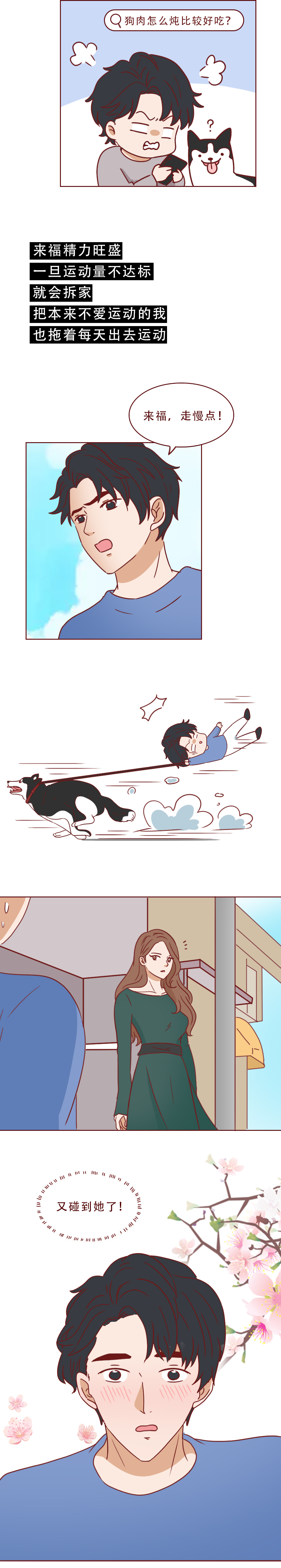 捡回来抑郁的猫,捡回一只小猫原居民抑郁了