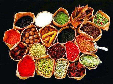 哪个牌子的养生壶最好用最安全,养生壶哪个牌子最好最实用