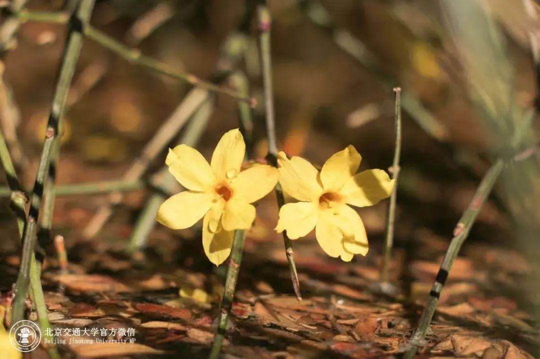 等你！交大气味图书馆，今日“开放”
