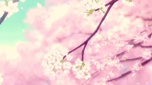 各种樱花美食大全,樱花美食视频全集