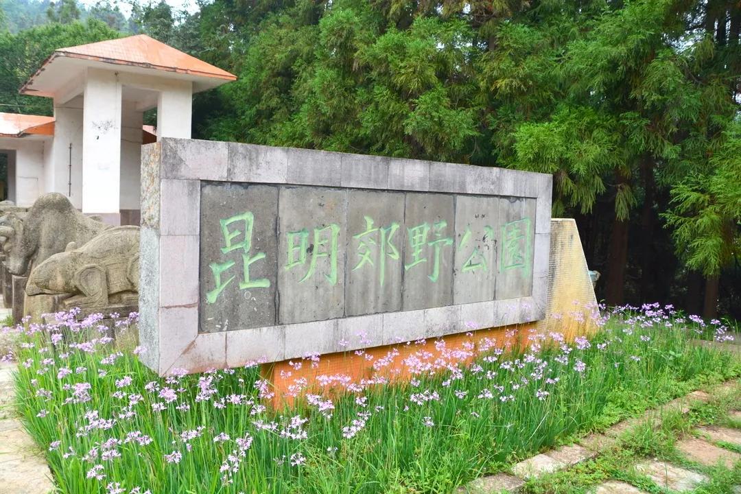 昆明周边亲子游自驾游攻略,五一周边短途自驾游昆明