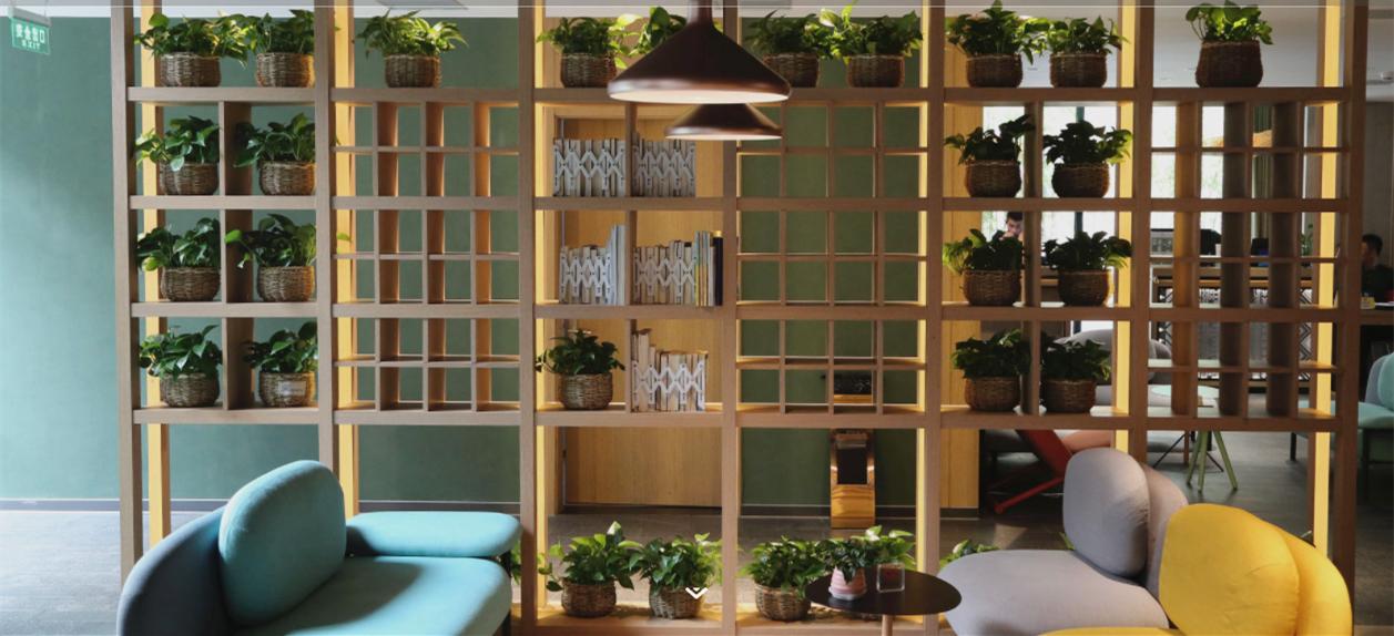 北京冬日度假酒店,秋果酒店和全季酒店