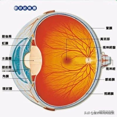 近视的孩子建议吃什么护眼,孩子近视应该吃什么护眼片比较好