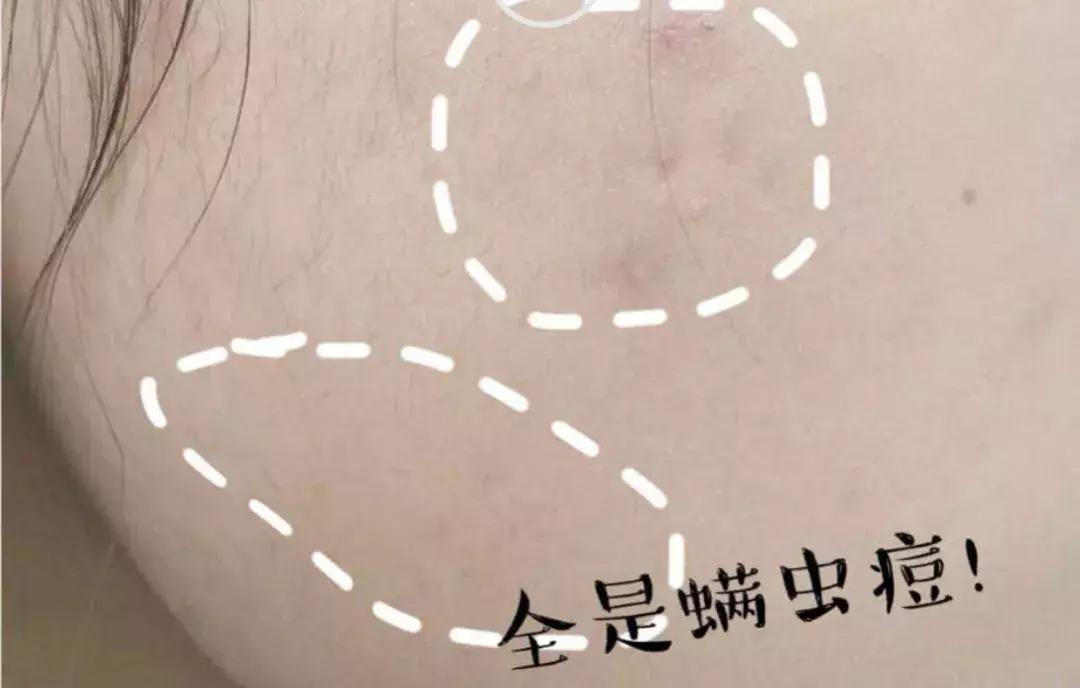 小红书推荐平价好用粉底液,小红书点赞上万有用吗