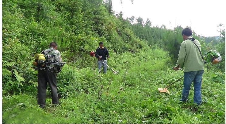 果园用除草剂的危害,果园禁用草甘膦