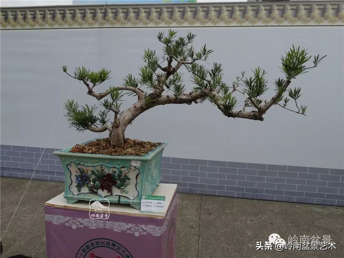 开运招财，非其莫属！清风雅韵，当之无愧！