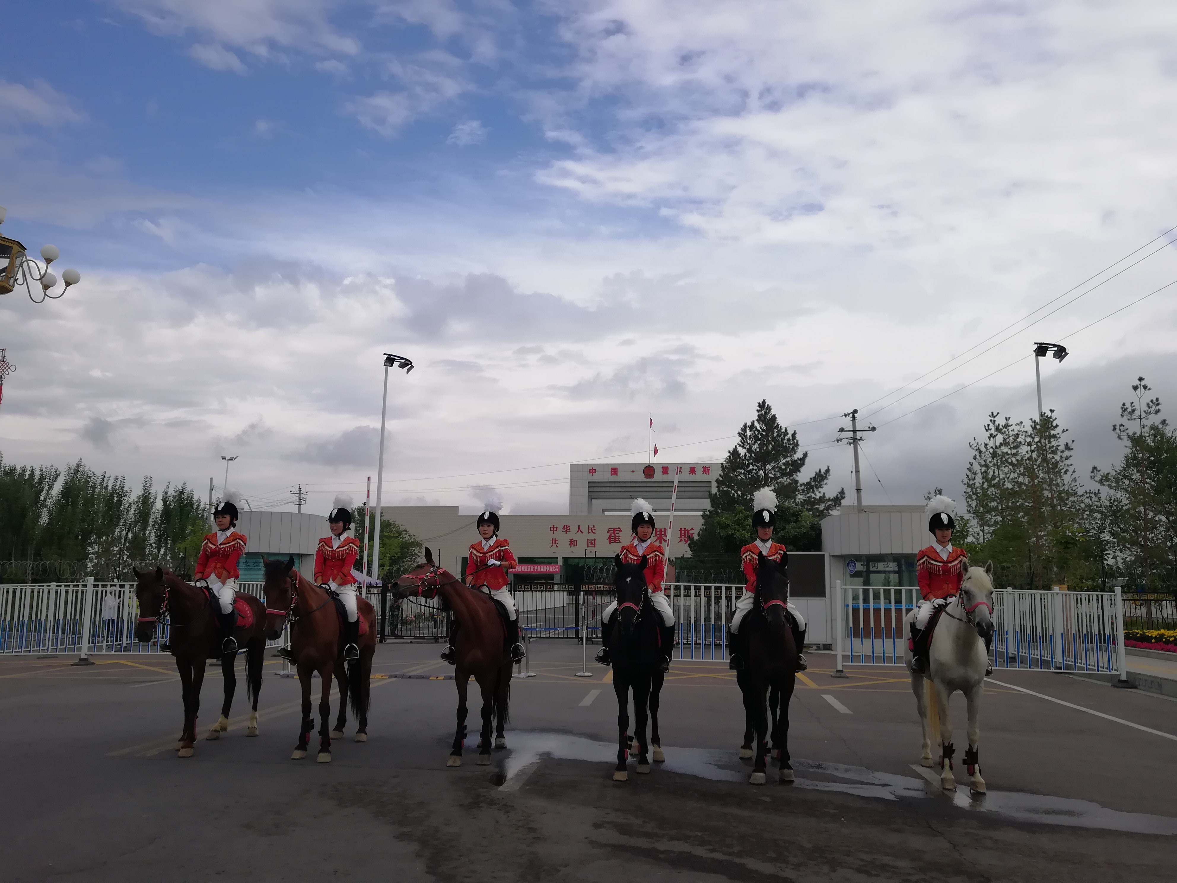 带狗自驾新疆注意事项,想带狗狗去新疆