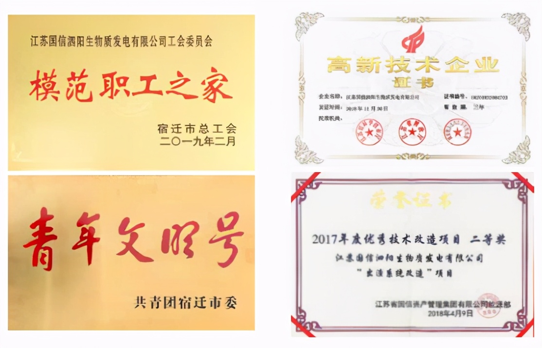 江苏国信生物质发电厂,江苏国信如东生物质发电有限公司