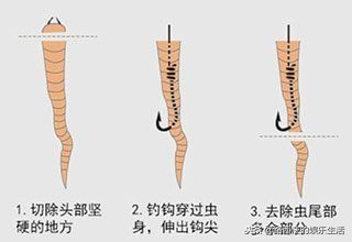 如何正确的出海钓鱼的小技巧