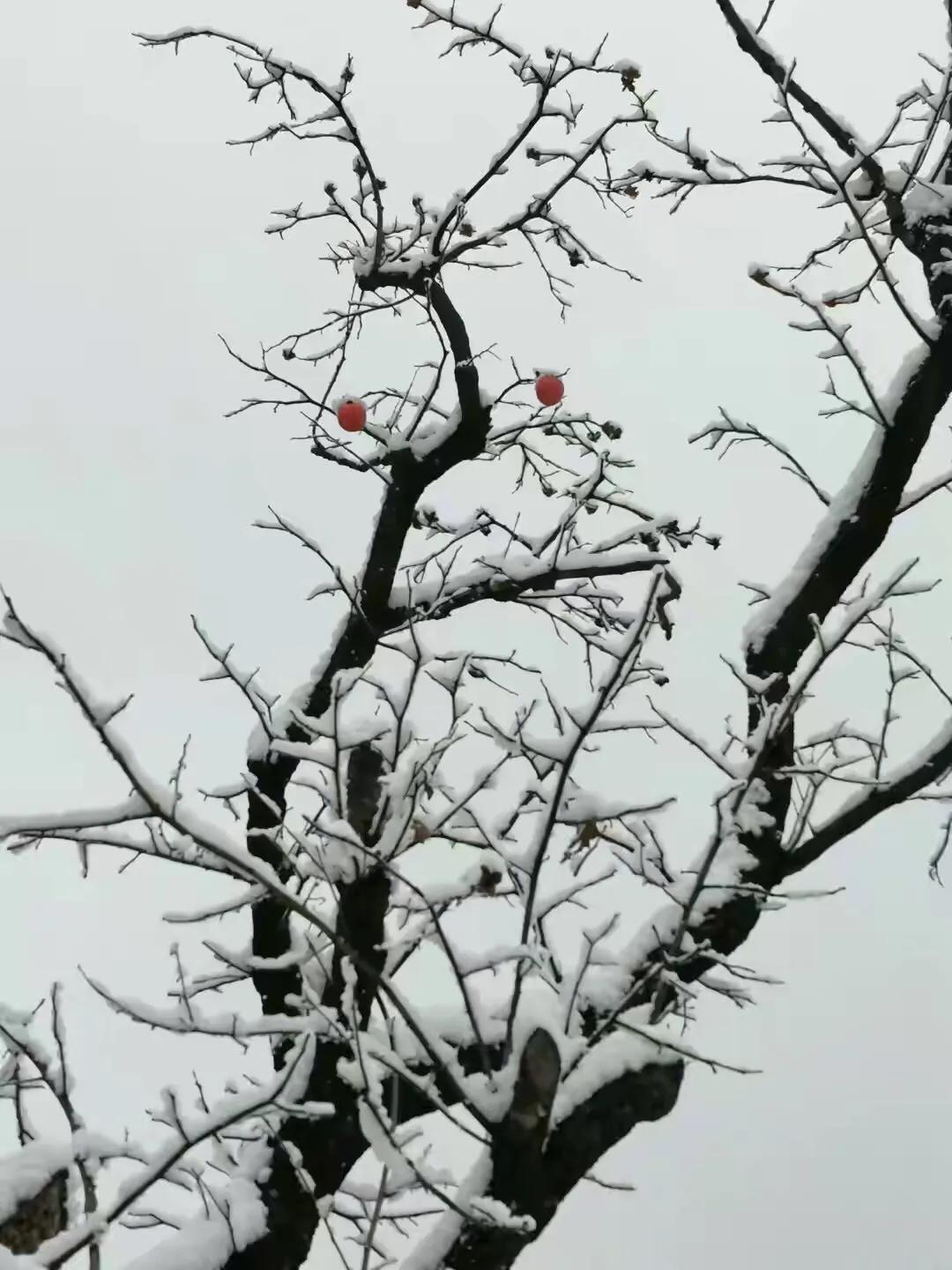 手拍世界-2021年09月各周最佳作品专集（总第716期）