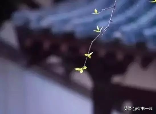 南怀瑾谈做人要认真,南怀瑾为人处世经典语录