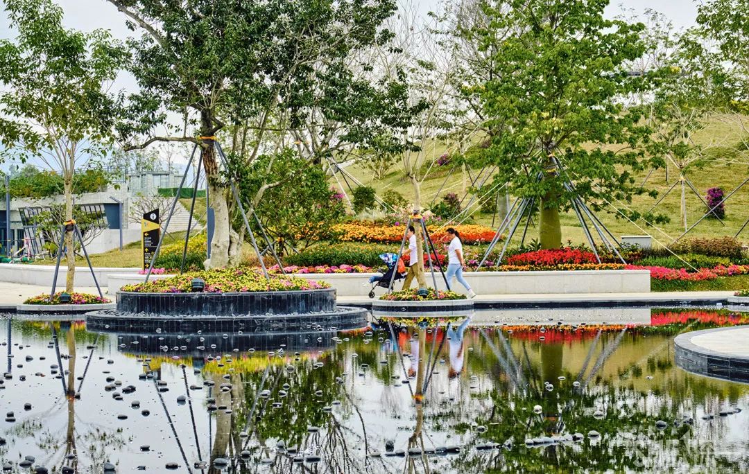 深圳龙华公园对外开放了吗,深圳市龙华新开的公园