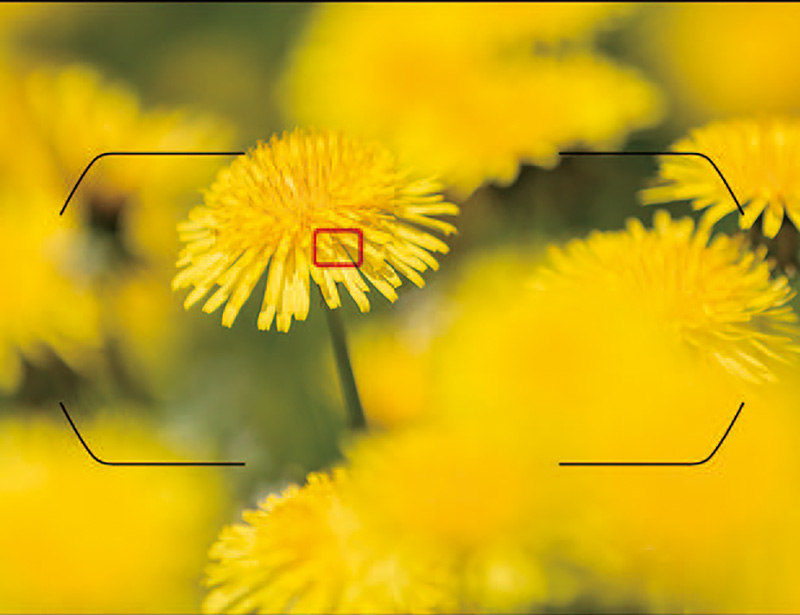 自动对焦镜头怎么用,电脑摄像头自动对焦