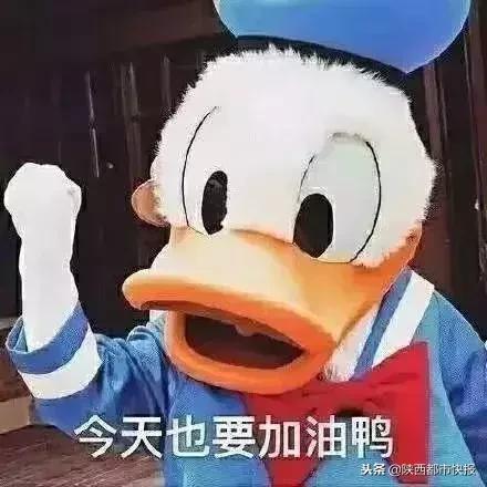 冲鸭表情包动图gif,冲鸭给我冲冲冲表情包