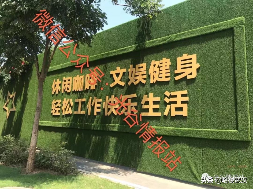 光谷新开的一家电影院,光谷全球最大全景空中电影院