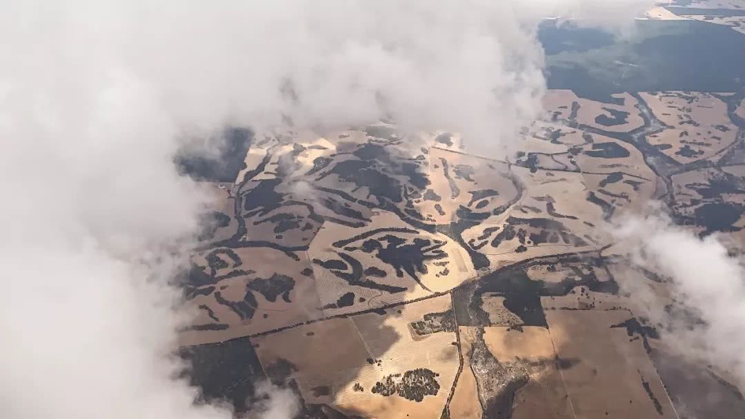 这地方是男人天堂,我们的大宝马也怕了