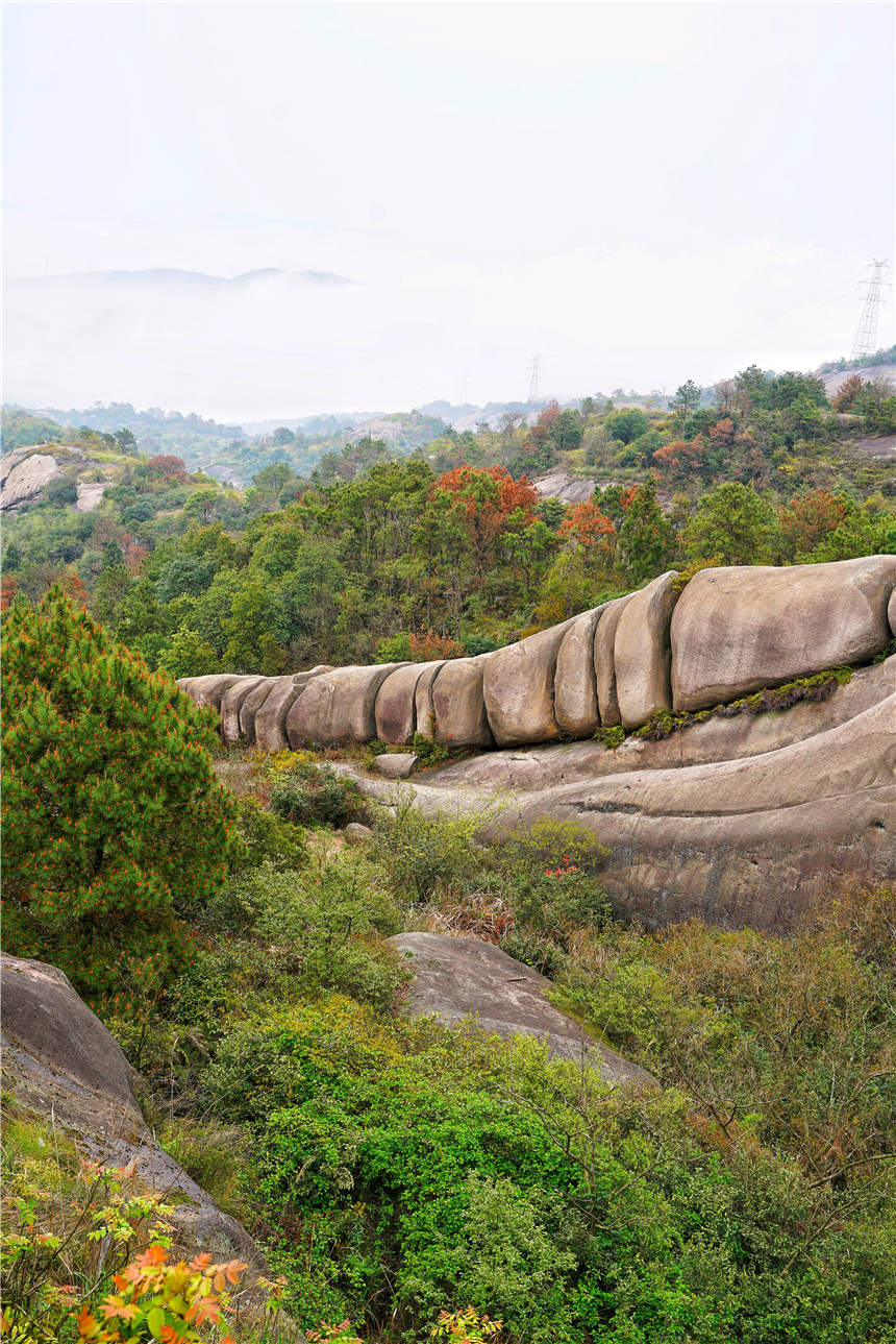 江南水乡旅游攻略四天三晚,温州旅行攻略四天三夜