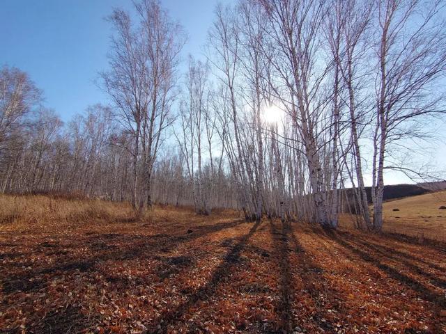 索尼xperia5实际体验,索尼xperia5ll与xperia1ii区别