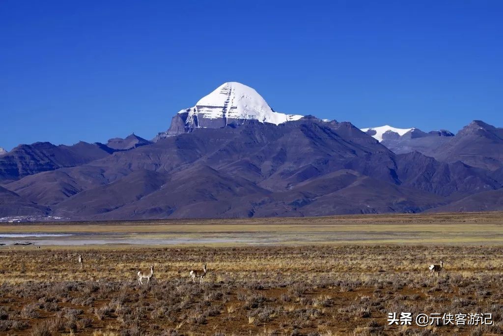 我竟然在*藏西**的冬天，竞遇到了如此多的仙境