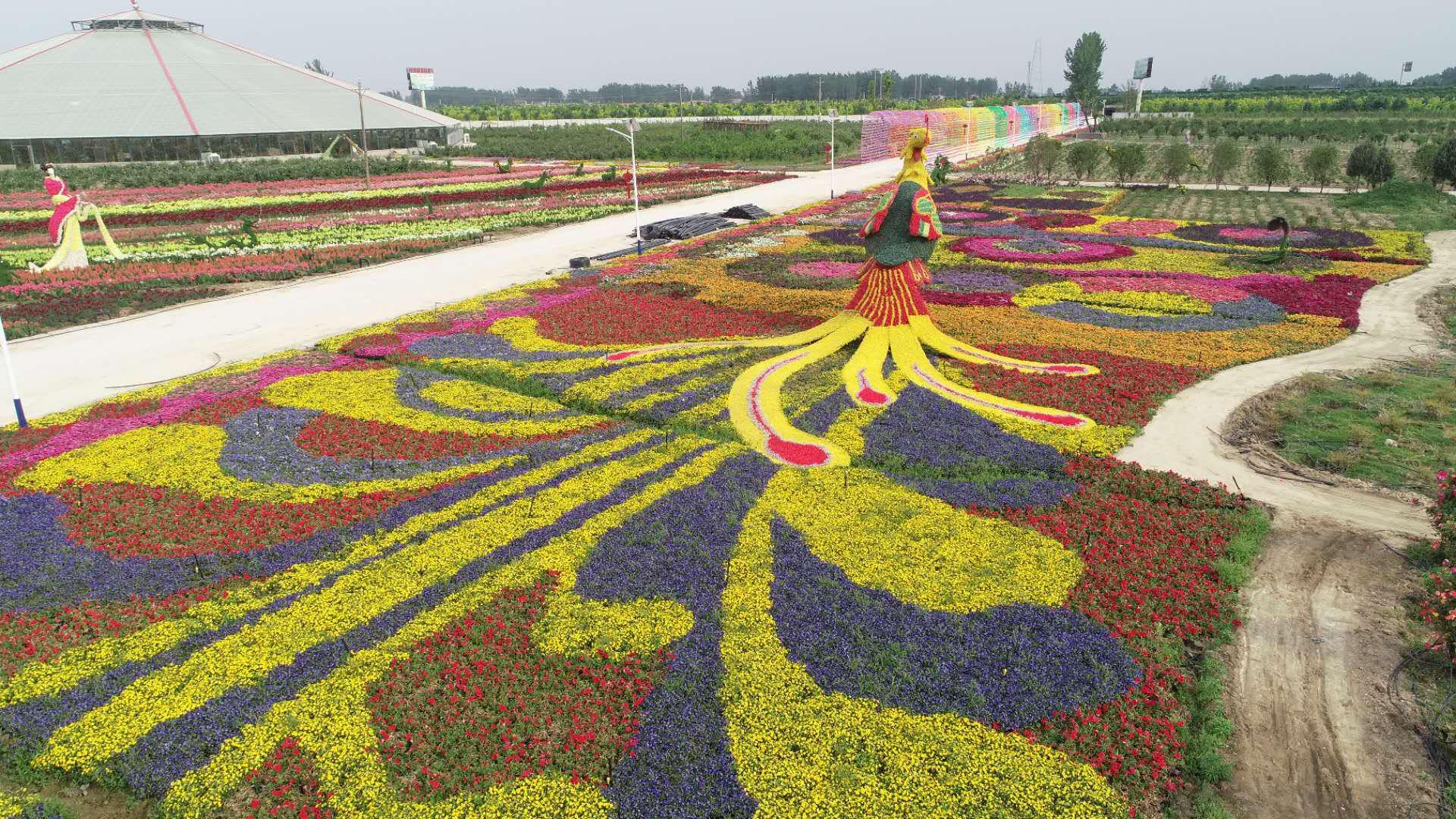 河南源色生态农业怎么样,郑州市源色生态农业