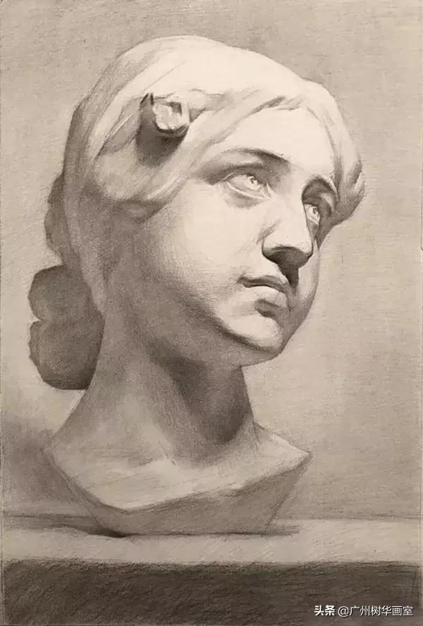 石膏头像大卫素描教程步骤,素描石膏鼻子的步骤入门
