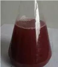 em菌菌种批发价格品牌,EM菌种