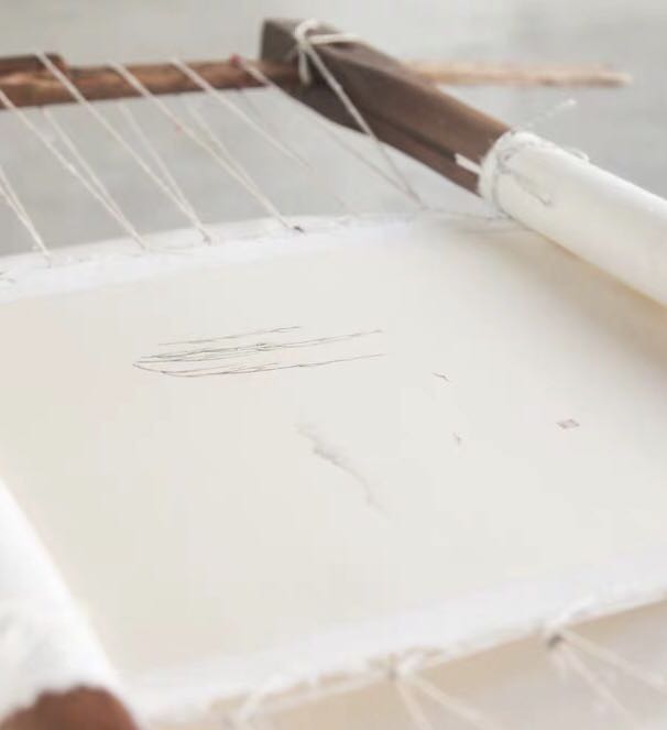 柳浪闻莺照片,柳浪闻莺曲谱