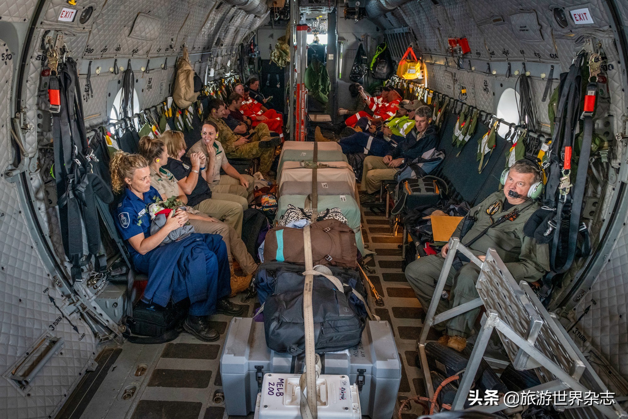 抢救大型野生动物,救助受伤化脓的大野生动物